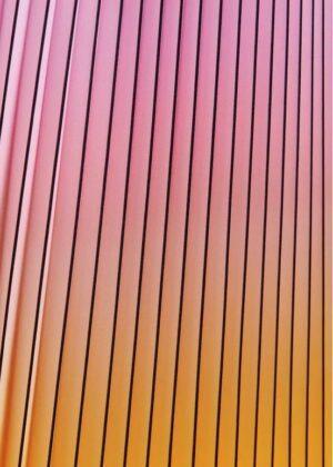 JUPE HARIES – Image 2